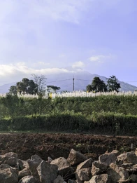 Rumah modern di Malang