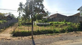 Sewa Min 5 Tahun Tanah 6 Are Hadap Barat Rangdu Seririt Buleleng Bali