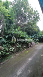 Sewa Tanah 2 Are Nagi Lama Ubud Gianyar