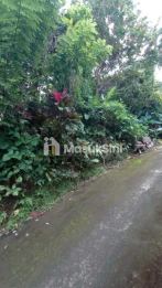 Sewa Tanah 2 Are Nagi Lama Ubud Gianyar