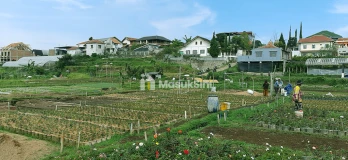 Tanah Dekat Lembang Park & Zoo Untuk Villa, Kebun dan Nursery