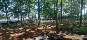 Tanah Di Jl. Ry Batujajar Bandung Barat Utk Gudang Supermarket Ruko Rukan