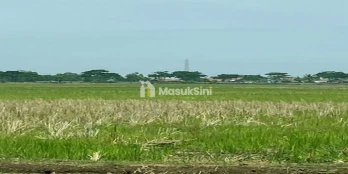 Tanah Industri dan Pergudangan Harga Murah Dekat Pelabuhan Patimban Subang
