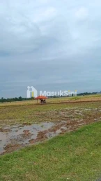 Tanah Industri dan Pergudangan Harga Murah Dekat Pelabuhan Patimban Subang