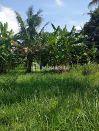 Tanah Komersial sangat bagus untuk bikin usaha industri, hotel, Villa, maup
