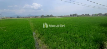 Tanah Untuk Perumahan dan Permukiman Dekat Stasiun Kereta Cepat Tegalluar
