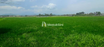 Tanah Untuk Perumahan dan Permukiman Dekat Stasiun Kereta Cepat Tegalluar