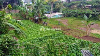 Tanah Utk Pertanian dan Perkebunan Sayap Jl. Cihanjuang Bandung Barat