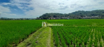 Tanah Utk Perumahan dan Permukiman di Cililin Bandung Barat
