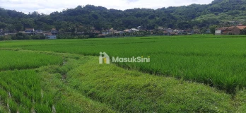Tanah Utk Perumahan dan Permukiman di Cililin Bandung Barat