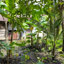 ? DIJUAL TANAH MURAH – SEKIP, MEDAN PETISAH