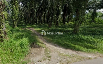 DIJUAL KEBUN KELAPA SAWIT 92.304 M² DI TALUN KENAS  ()