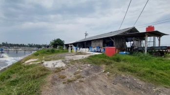 DIJUAL TAMBAK UDANG VANAME AKTIF di SITUBONDO