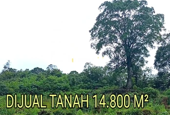 DIJUAL TANAH PERKEMAHAN DIPUNCAK BUKIT BANDAR BARU ()