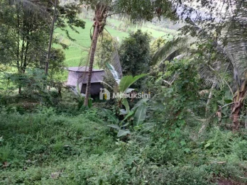 Dijual Cepat Tanah 120 Are Pinggir Jalan Provinsi Busungbiu Buleleng