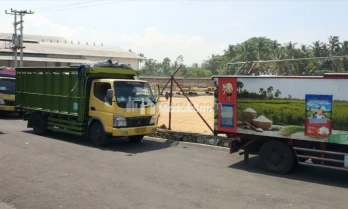 Dijual Gudang Kosong di Desa Ajung, Jember