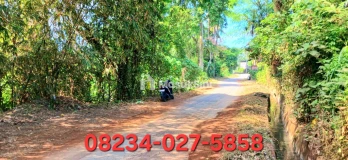 Dijual Tanah 1642 m2 Dkt Jl Ida Bagus Mantra Keramas Blahbatuh Gianyar Bali