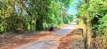 Dijual Tanah 1642 m2 Dkt Jl Ida Bagus Mantra Keramas Blahbatuh Gianyar Bali