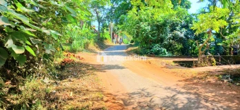 Dijual Tanah 1642 m2 Dkt Jl Ida Bagus Mantra Keramas Blahbatuh Gianyar Bali