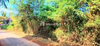 Dijual Tanah 1642 m2 Dkt Jl Ida Bagus Mantra Keramas Blahbatuh Gianyar Bali