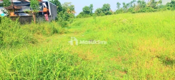 Dijual Tanah 3315 m2 Di Gubug Tabanan Bali