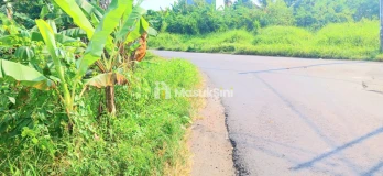 Dijual Tanah 3315 m2 Di Gubug Tabanan Bali