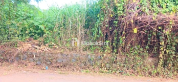 Dijual Tanah 4258 m2 Di Keramas Blahbatuh Gianyar Bali