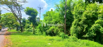 Dijual Tanah Los Pantai 2,53 Hektar Jl Ida Bagus Mantra Tulikup Gianyar Bal