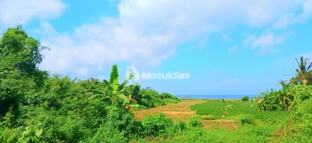 Dijual Tanah Los Pantai 2,53 Hektar Jl Ida Bagus Mantra Tulikup Gianyar Bal