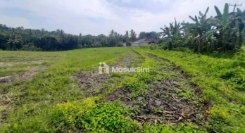 Dijual Tanah Murah 32 Are Megati Tabanan