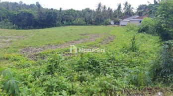 Dijual Tanah Murah 32 Are Megati Tabanan