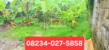 Disewakan Tanah 1000 m2 Di Kapal Mengwi Badung Bali