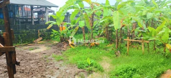 Disewakan Tanah 1000 m2 Di Kapal Mengwi Badung Bali