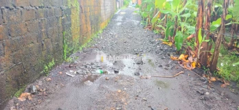 Disewakan Tanah 1000 m2 Di Kapal Mengwi Badung Bali