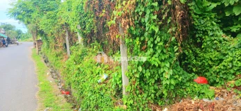 Disewakan Tanah 5480 m2 Jl Sekar Sari Dkt Sanur,Renon Denpasar Bali