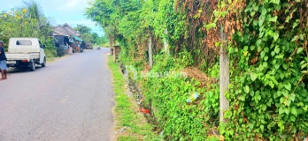 Disewakan Tanah 5480 m2 Jl Sekar Sari Dkt Sanur,Renon Denpasar Bali