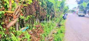 Disewakan Tanah 5480 m2 Jl Sekar Sari Dkt Sanur,Renon Denpasar Bali