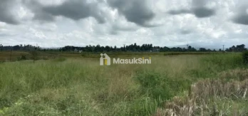 Jual Cepat Tanah Produktif 42 Are Selemadeg Timur Tabanan