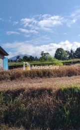 Jual Cepat Tanah Produktif 42 Are Selemadeg Timur Tabanan