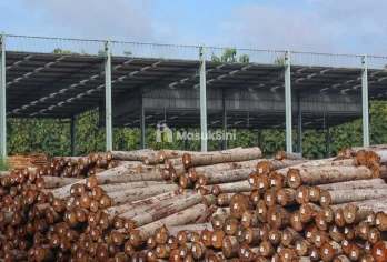 Jual Pabrik & Mesin Aktif di daerah Tunggorono Jombang