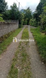 Jual Tanah 15 Are Musi Gerokgak Buleleng