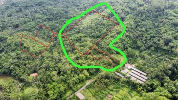 Jual Tanah 2 Unit Murah Luas di Daerah Pancasan Banyumas Shm