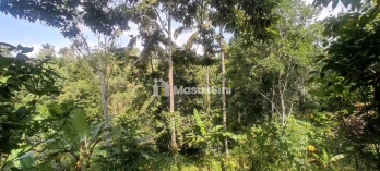 Jual Tanah 24 Are Babahan Penebel Tabanan