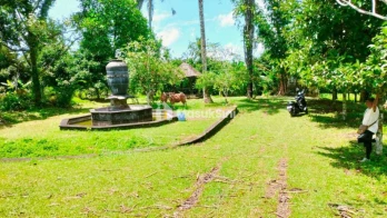 Jual Tanah 25202m2 Pupuan Tegallalang Gianyar