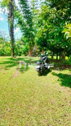 Jual Tanah 25202m2 Pupuan Tegallalang Gianyar