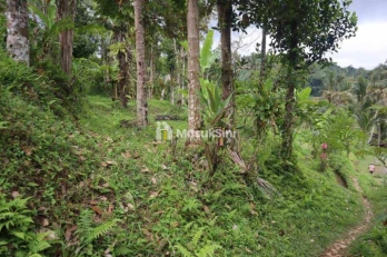 Jual Tanah 50 Are Munduk Lumbang Baturiti Tabanan Hotspring Sungai