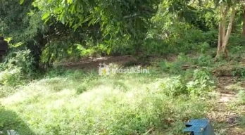 Jual Tanah 6 Are Area Perumahan Raya Mandiri Taman Griya Jimbaran Badung