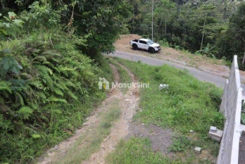 Jual Tanah 87 Are Apuan Baturiti Tabanan View Sawah Dekat Jatiluwih