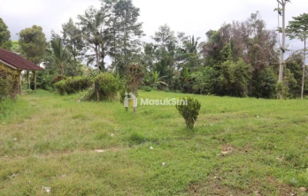 Jual Tanah 87 Are Apuan Baturiti Tabanan View Sawah Dekat Jatiluwih