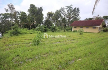 Jual Tanah 87 Are Apuan Baturiti Tabanan View Sawah Dekat Jatiluwih